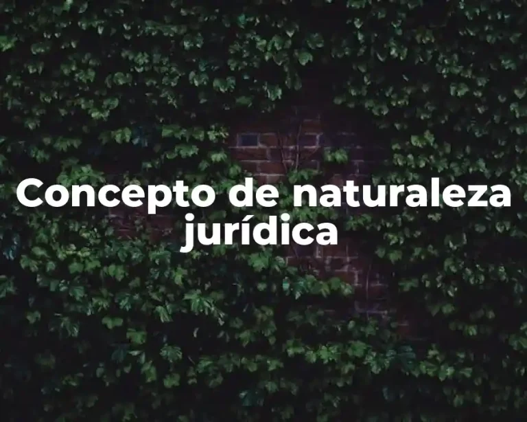 Concepto de naturaleza jurídica