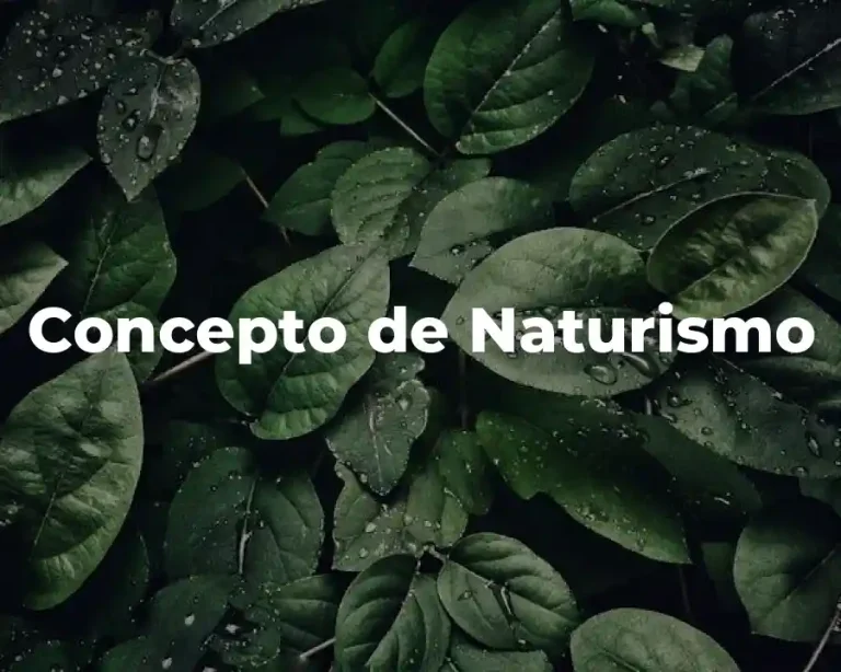 Concepto de Naturismo