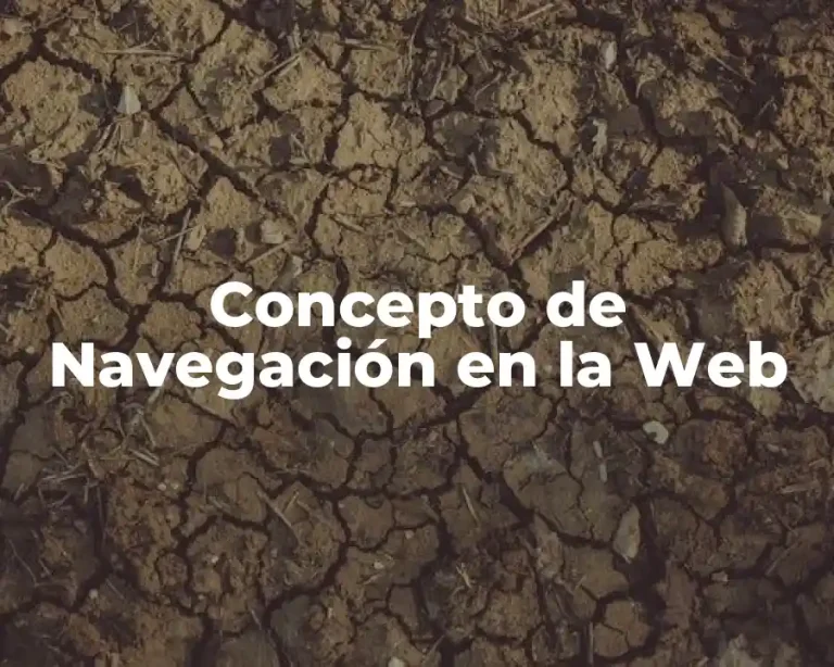 Concepto de Navegación en la Web