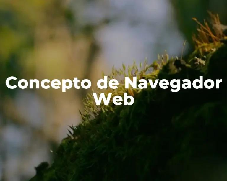 Concepto de Navegador Web