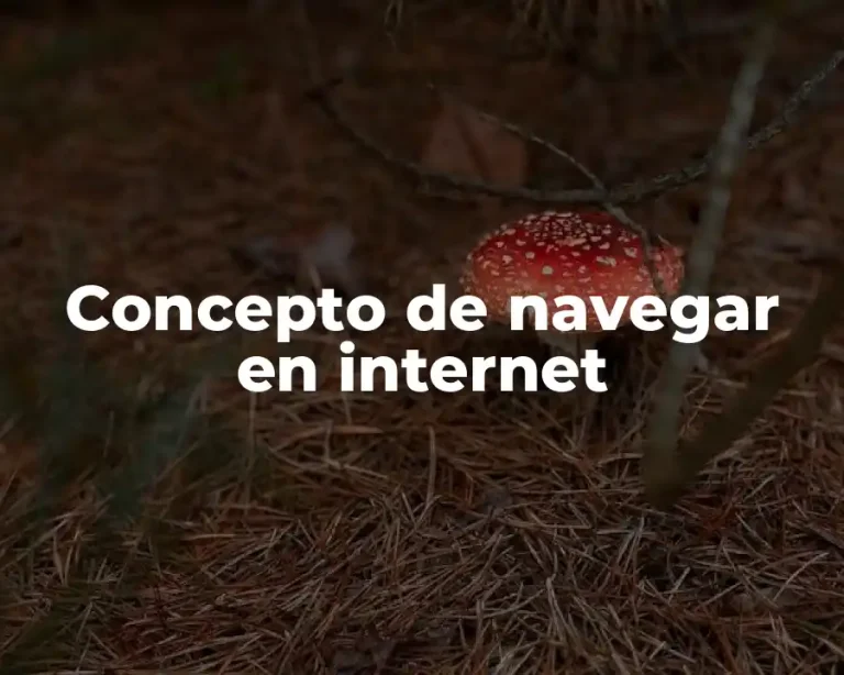 Concepto de navegar en internet