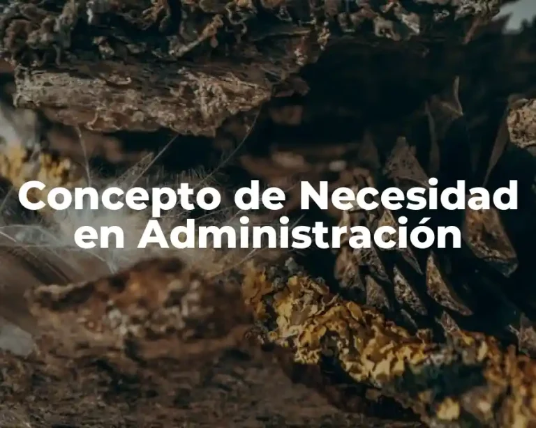 Concepto de Necesidad en Administración