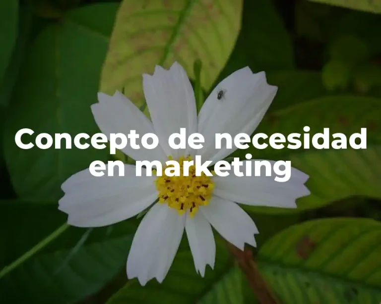 Concepto de necesidad en marketing
