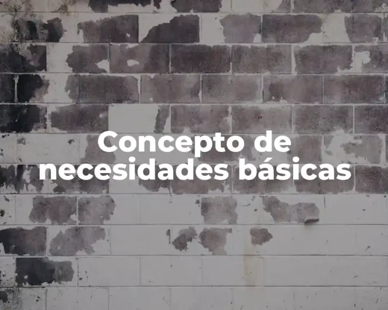 Concepto de necesidades básicas