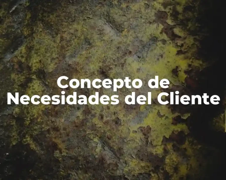 Concepto de Necesidades del Cliente