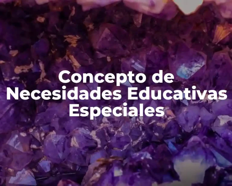 Concepto de Necesidades Educativas Especiales