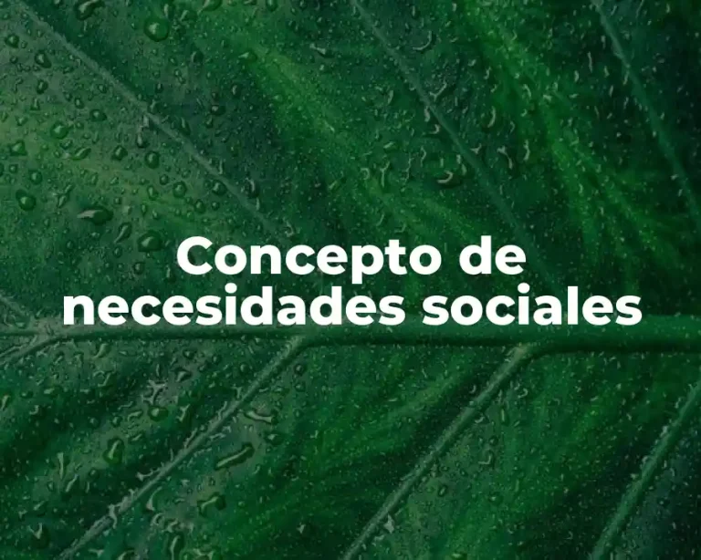 Concepto de necesidades sociales
