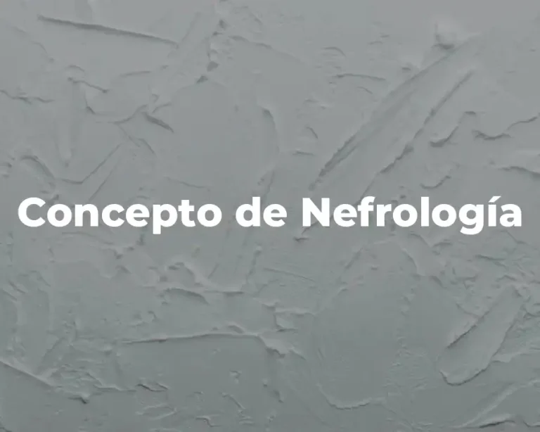 Concepto de Nefrología