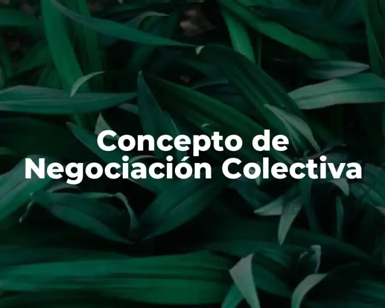 Concepto de Negociación Colectiva