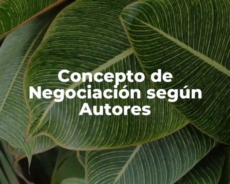 Concepto de Negociación según Autores