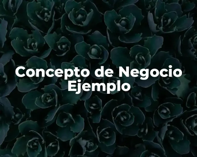 Concepto de Negocio Ejemplo