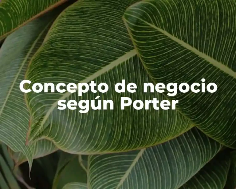 Concepto de negocio según Porter
