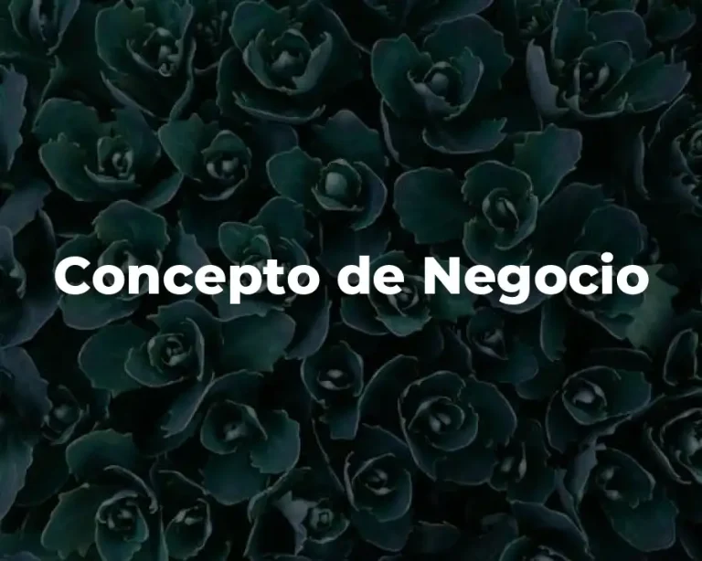 Concepto de Negocio