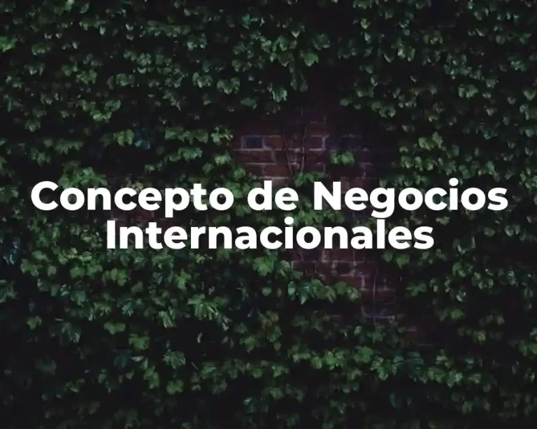 Concepto de Negocios Internacionales