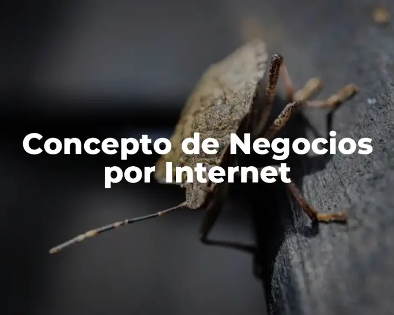 Concepto de Negocios por Internet