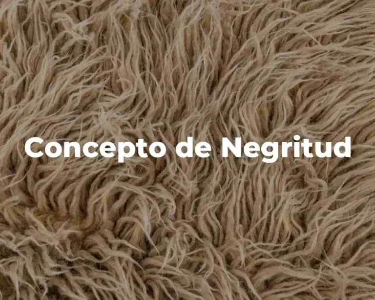 Concepto de Negritud