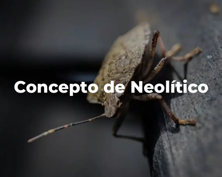 Concepto de Neolítico