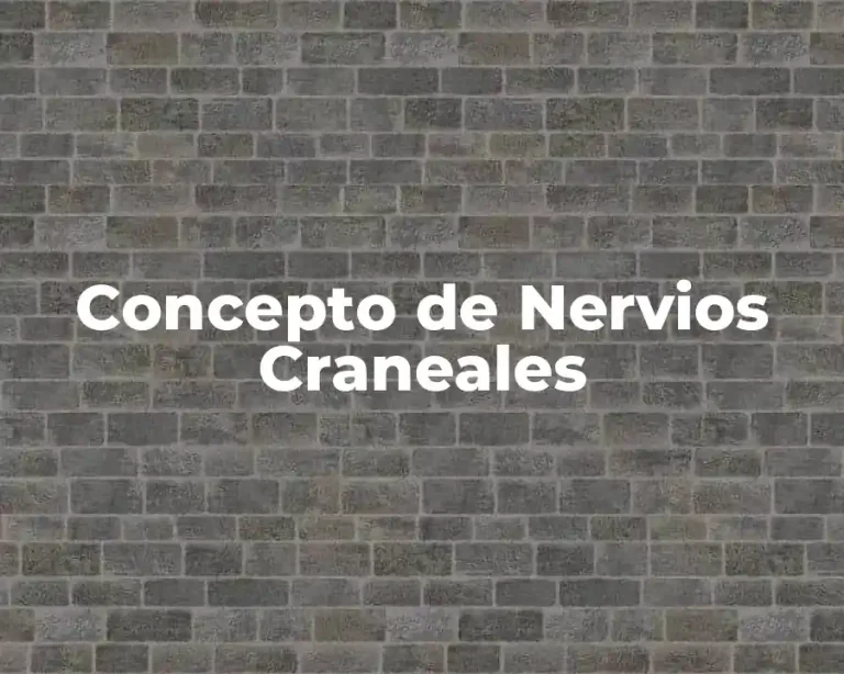 Concepto de Nervios Craneales