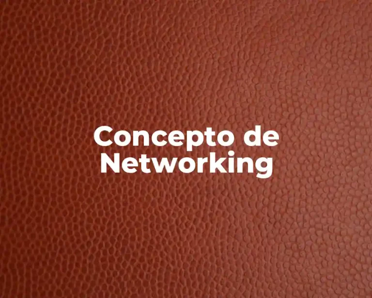 Concepto de Networking