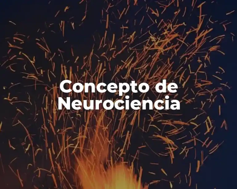 Concepto de Neurociencia