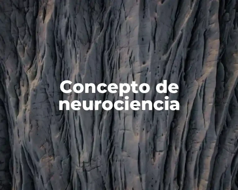 Concepto de neurociencia