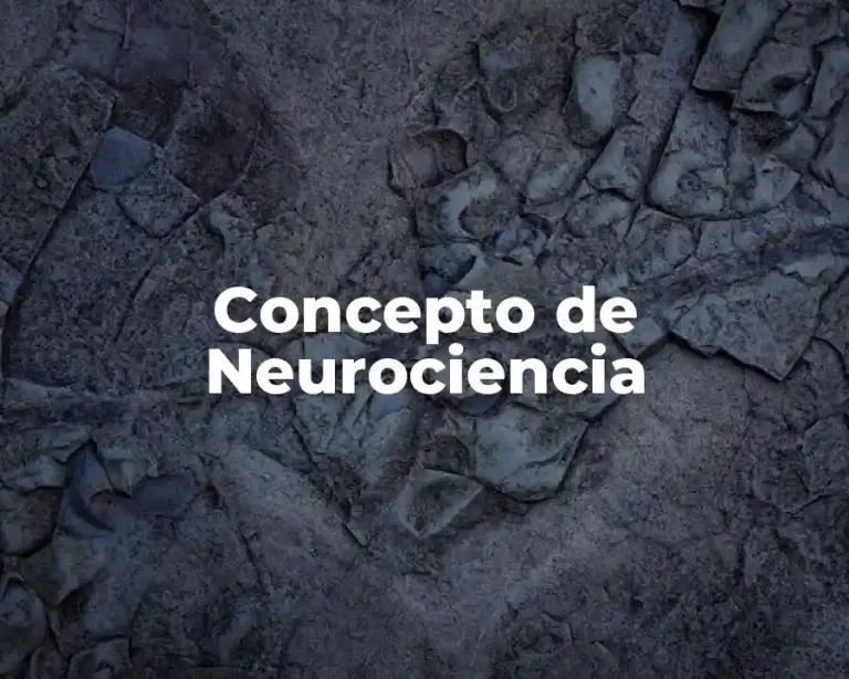 Concepto de Neurociencia