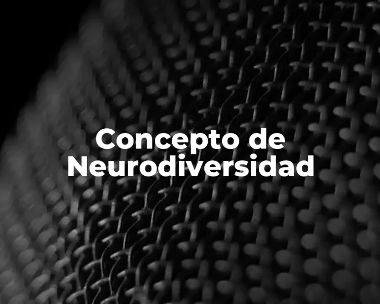 Concepto de Neurodiversidad