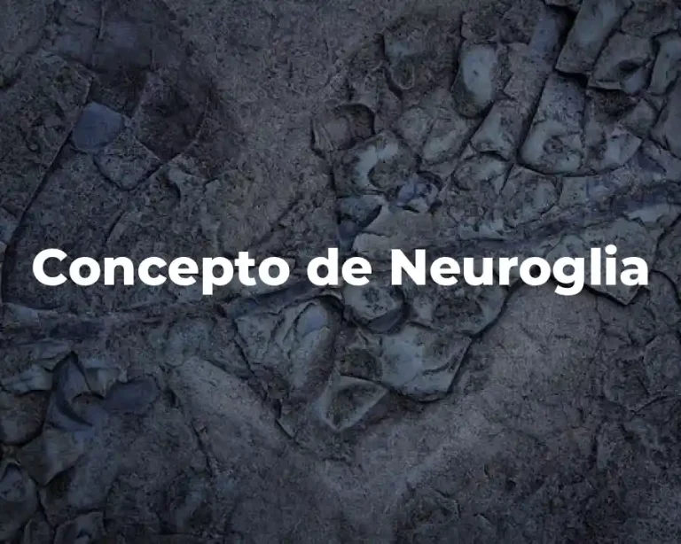 Concepto de Neuroglia
