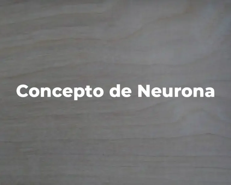 Concepto de Neurona