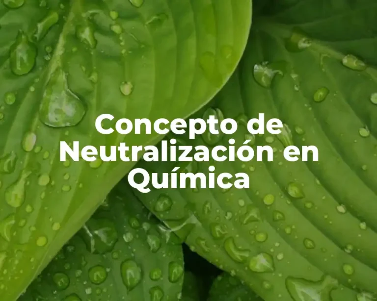 Concepto de Neutralización en Química