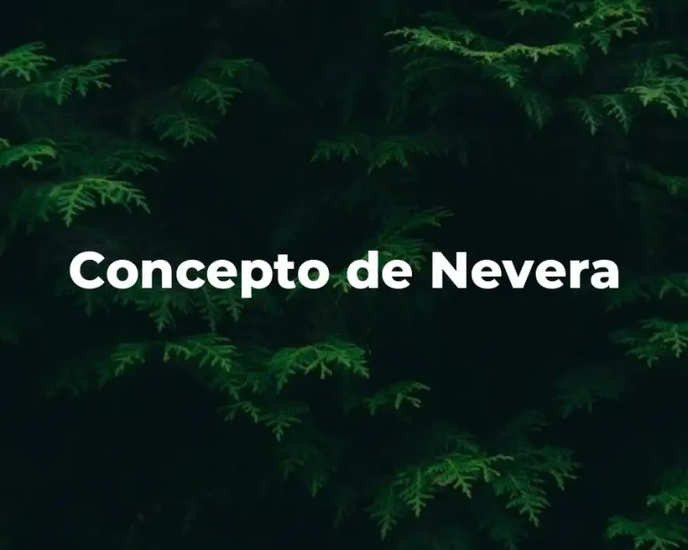 Concepto de Nevera