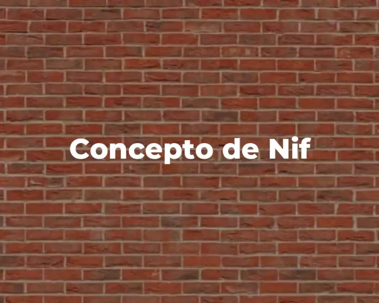 Concepto de Nif