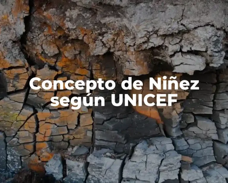 Concepto de Niñez según UNICEF