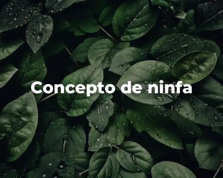 Concepto de ninfa
