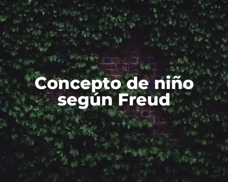 Concepto de niño según Freud