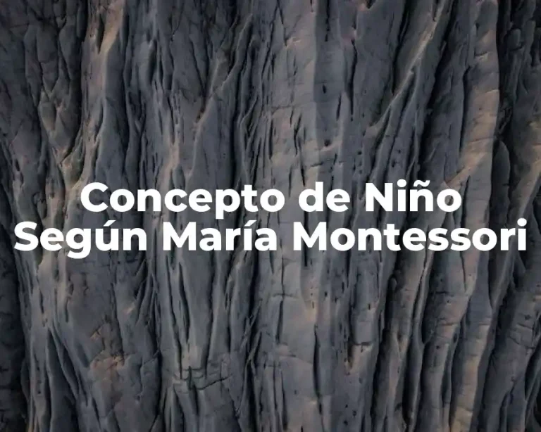 Concepto de Niño Según María Montessori