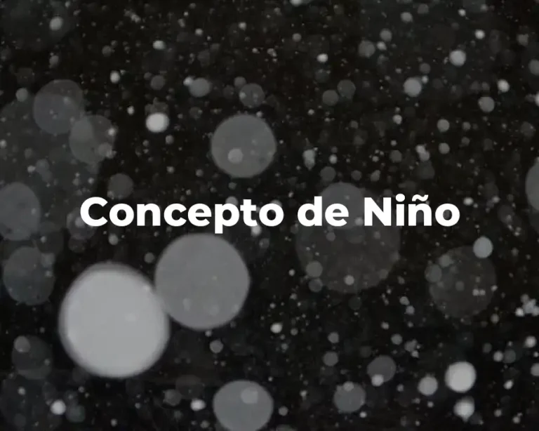 Concepto de Niño