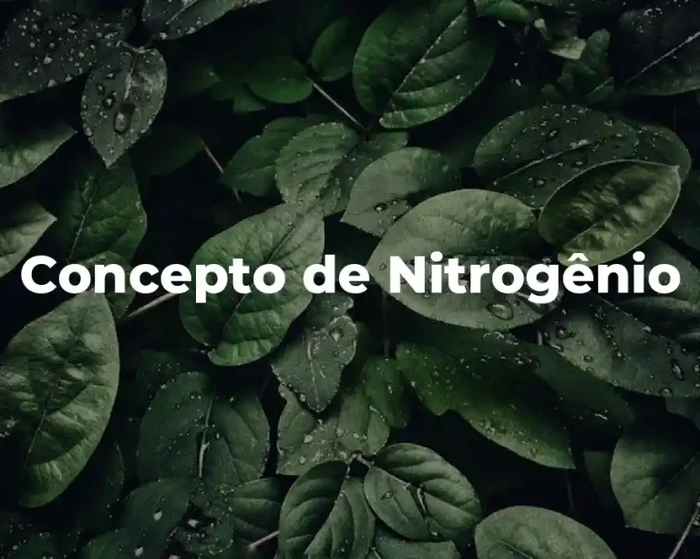 Concepto de Nitrogênio