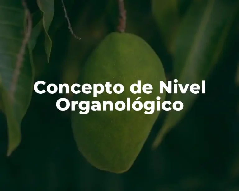 Concepto de Nivel Organológico