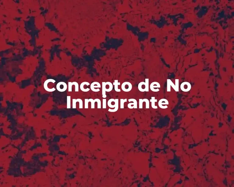 Concepto de No Inmigrante