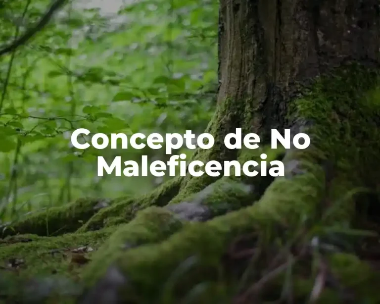 Concepto de No Maleficencia
