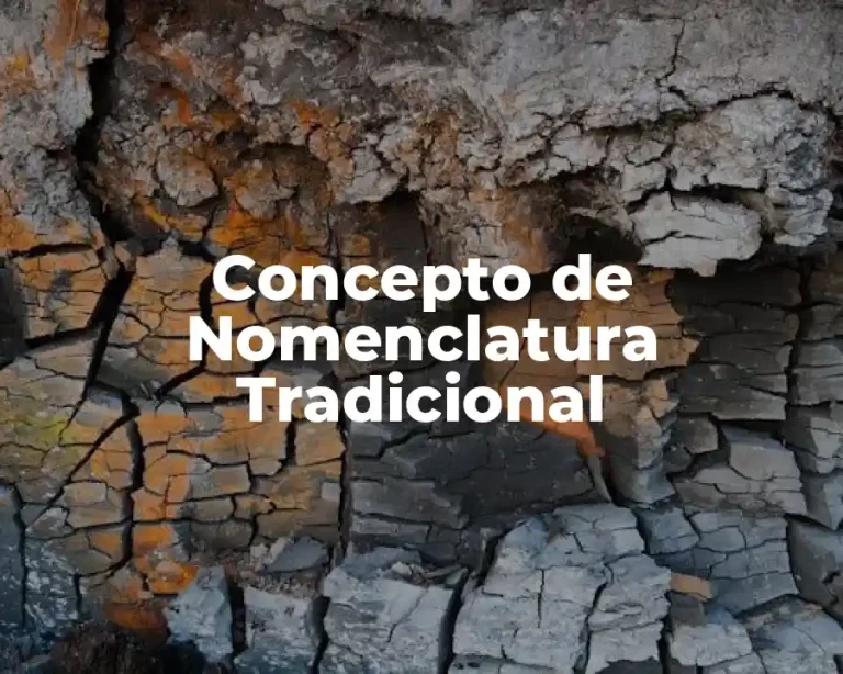 Concepto de Nomenclatura Tradicional