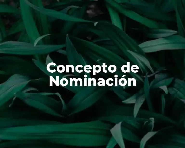 Concepto de Nominación