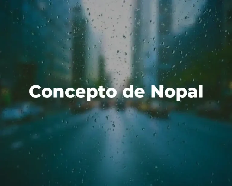 Concepto de Nopal