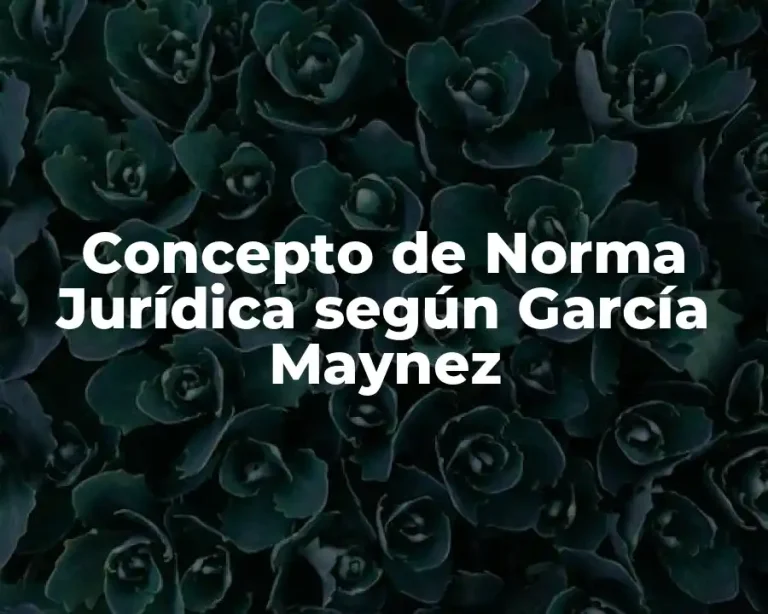 Concepto de Norma Jurídica según García Maynez