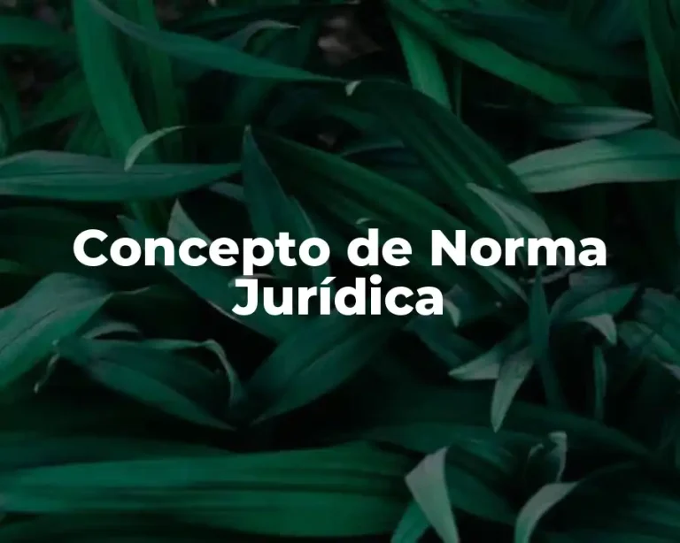 Concepto de Norma Jurídica