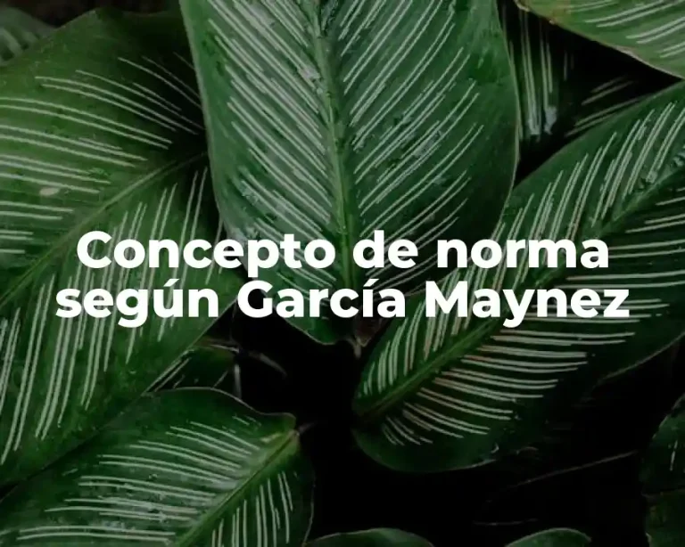 Concepto de norma según García Maynez