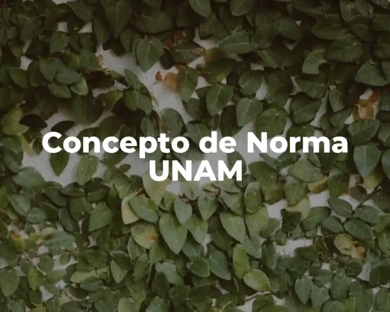 Concepto de Norma UNAM