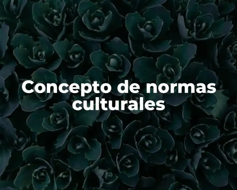 Concepto de normas culturales