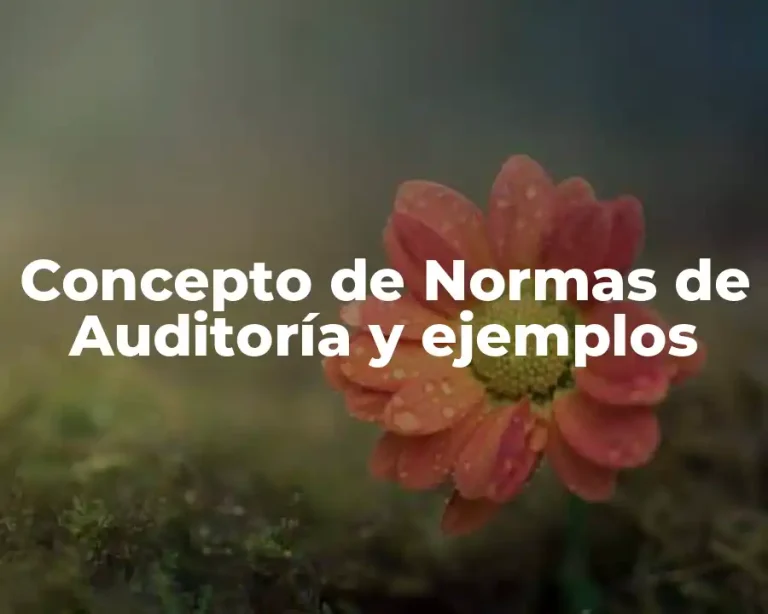 Concepto de Normas de Auditoría y ejemplos